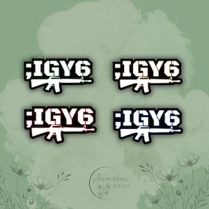 Ik heb je zes stickers; IGY6-stickers, militaire stickers, ik heb je 6-sticker, veteraanstickers, militaire sticker, I Got Your Back
