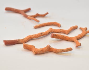 Natural Red Coral Branch Beads 98x5 to 35x4 mm, Organic Coral Stick, Jewelry Making Supply