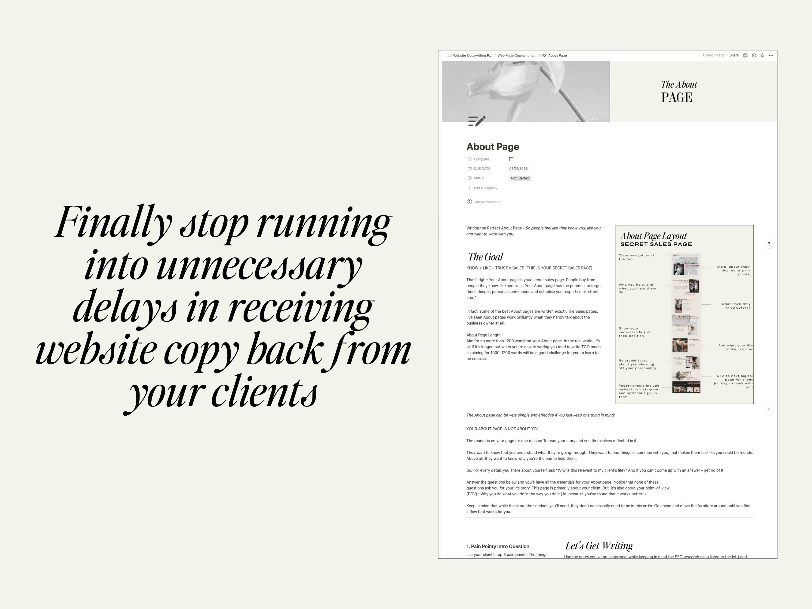White Label site Copywriting Template in Notion With Etsy