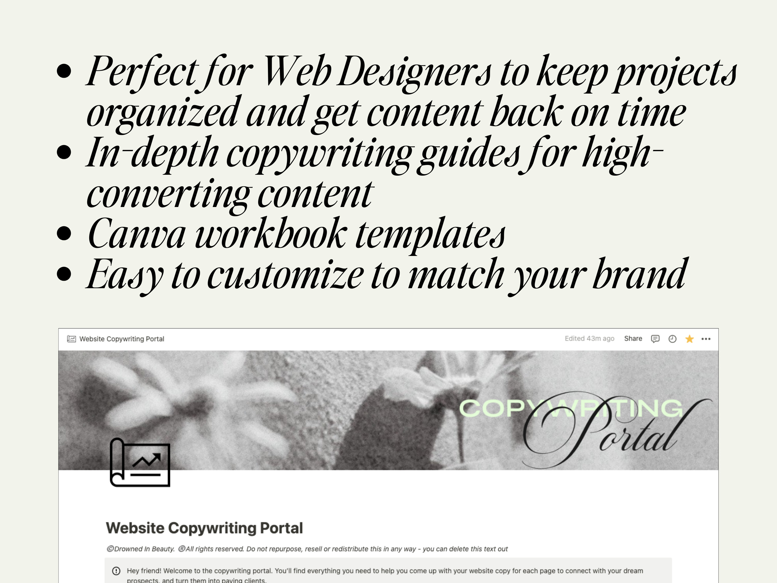White Label site Copywriting Template in Notion With Etsy