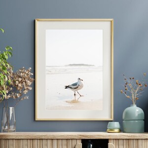 Seagull on Tybee Island, Georgia