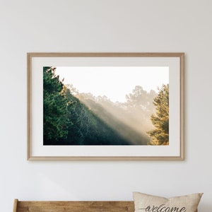Sunbeams during Sunrise