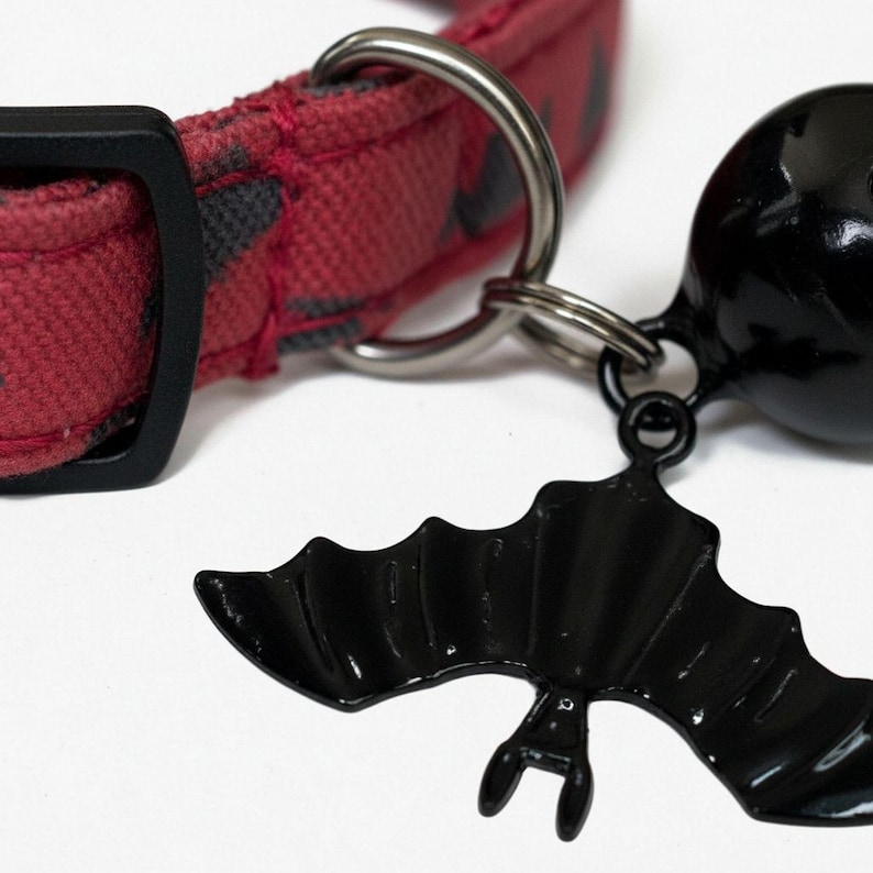 A red collar with a black bat-shaped charm attached to it.