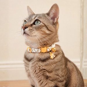 A brown tabby cat wearing a yellow and white patterned collar with a bell sits on a wooden floor, looking up with a curious expression.