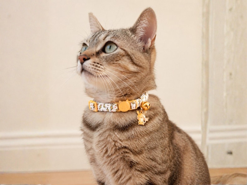 A brown tabby cat wearing a yellow and white patterned collar with a bell sits on a wooden floor, looking up with a curious expression.