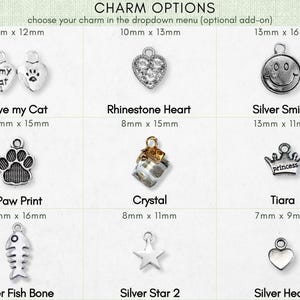 a variety of charms, including cat-themed charms, heart-shaped charms, and other decorative items.