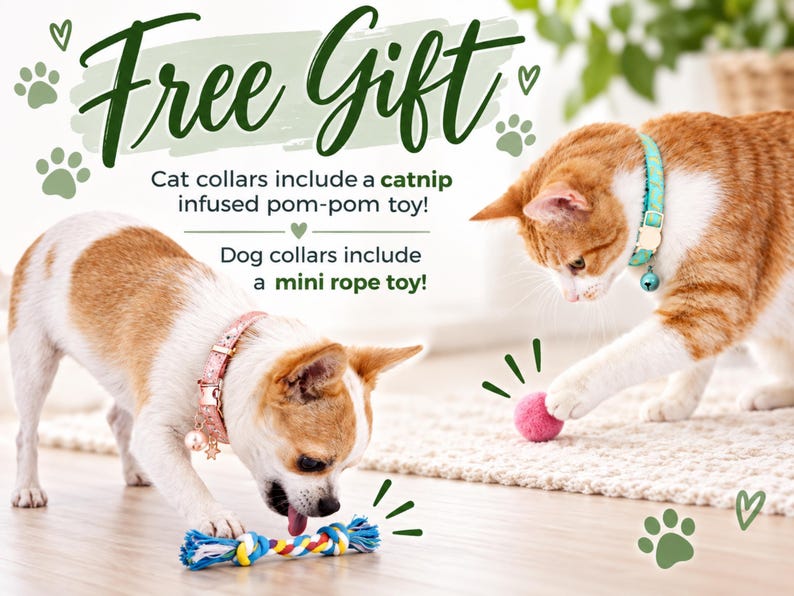 two cats playing with toys, one cat wearing a pink collar and the other wearing a blue collar.