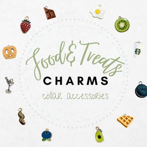 Cat Collar Add-On Charm, Durable Food and Treat Accessory for Cats and Kittens