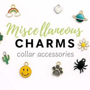 Miscellaneous Pet Collar Charm Small Pet Charm Attachment Pet Accessories Pet Collar Accessory Flower Charm Cute Collar Charms Collar Access
