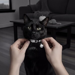 A person's hands are gently holding a black cat wearing a collar with a bell, and the cat is looking directly at the camera.