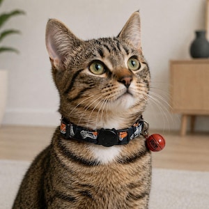 A tabby cat wearing a black and orange collar with a red bell sits on a carpeted floor, looking up with a curious expression.