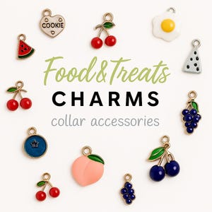 Food Cat Collar Charms Food Pet Charm Treat Themed Charms Pet Collar Accessory Food Collar Charm Cute Food Charms Collar Accessories for Col