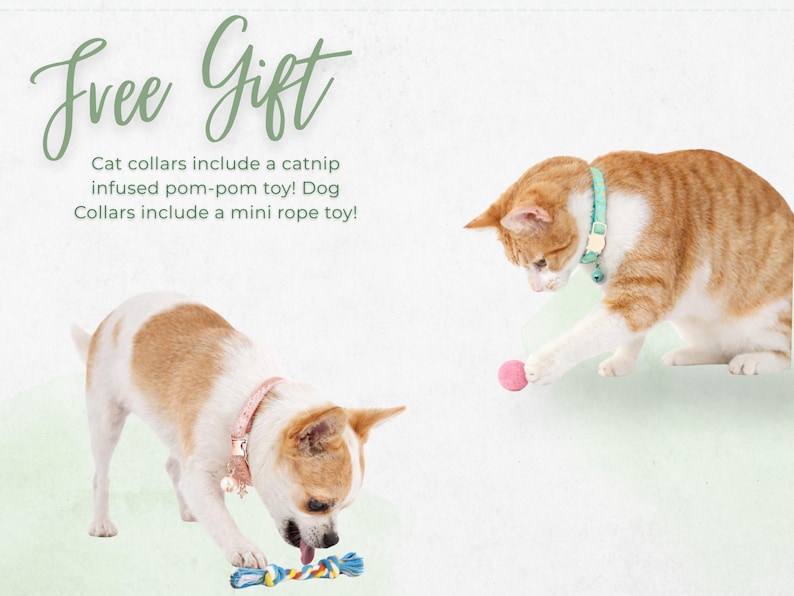 two cats playing with toys, one cat wearing a pink collar and the other wearing a blue collar.