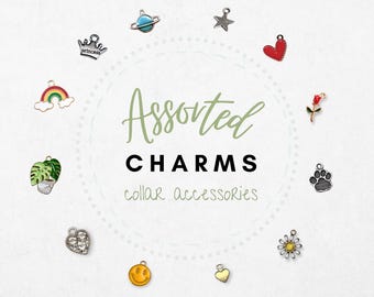 Cat Collar Add-On Charms, Lightweight Removable Pet Accessories for Cats, Small Dogs, Kittens