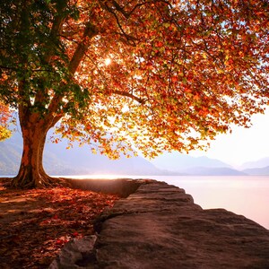 Lake Annecy - France