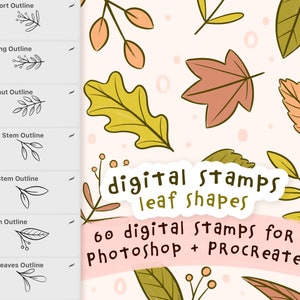 Leaf Stamp Set: Digital Illustration Brushes for Procreate & Photoshop (Digital Download)