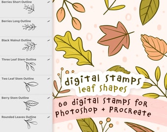 Jeu de tampons numériques en forme de feuille pour procréer et Photoshop | Tampons feuille de Mimi pour illustration numérique