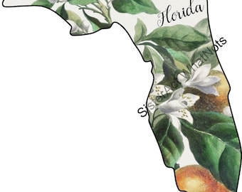 Florida State PNG Datei Umriss mit State Flower Illustration (Orangenblüte)