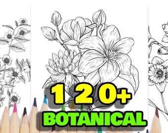 120+ Botanical Coloring Book Pages - DIGITAL DOWNLOAD!