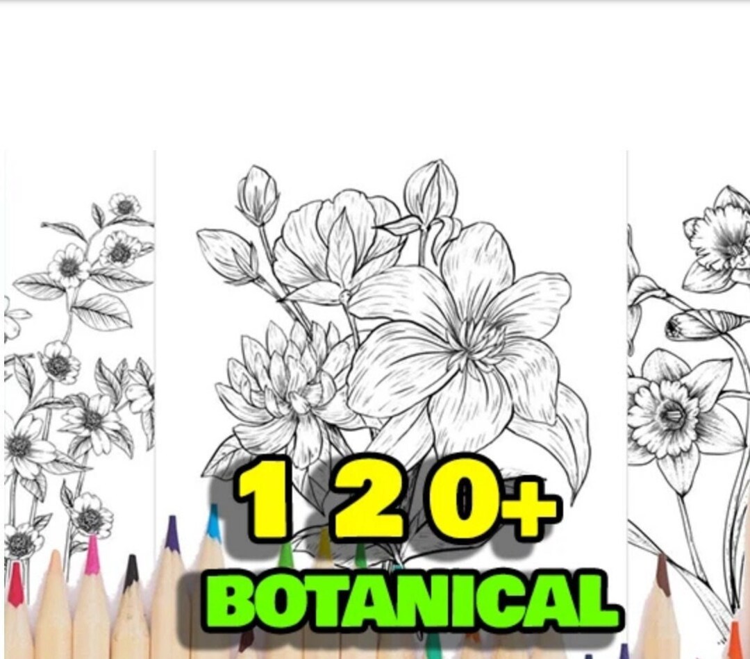 120+ Botanical Coloring Book Pages - DIGITAL DOWNLOAD! - Etsy