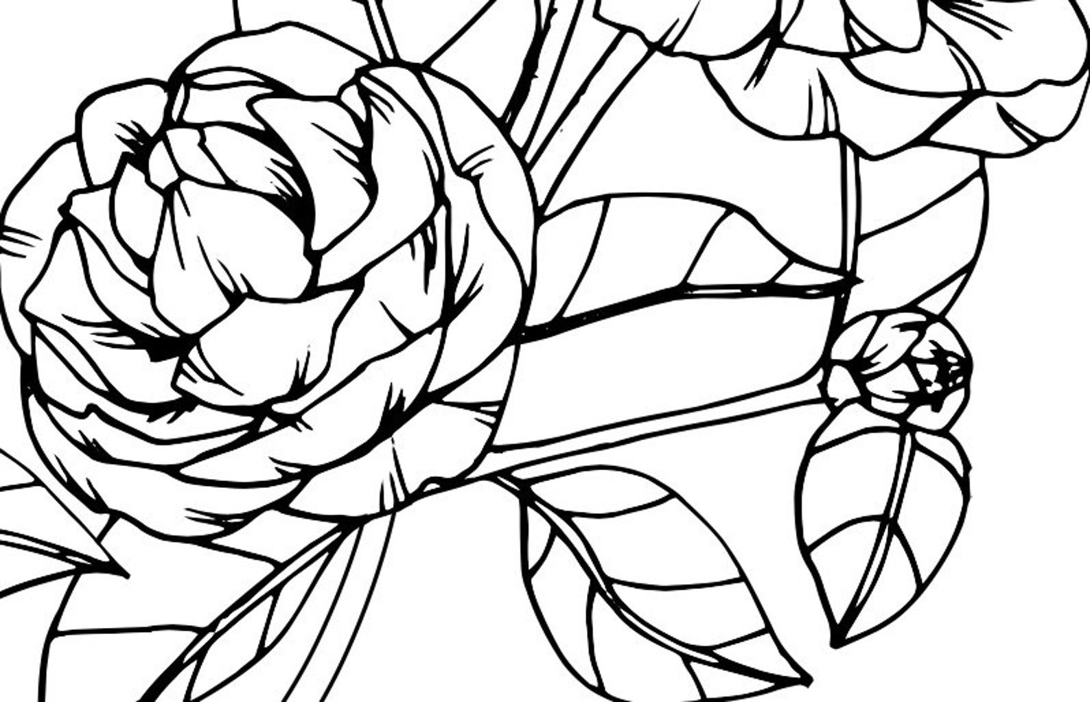 120 Botanical Coloring Book Pages DIGITAL DOWNLOAD - Etsy