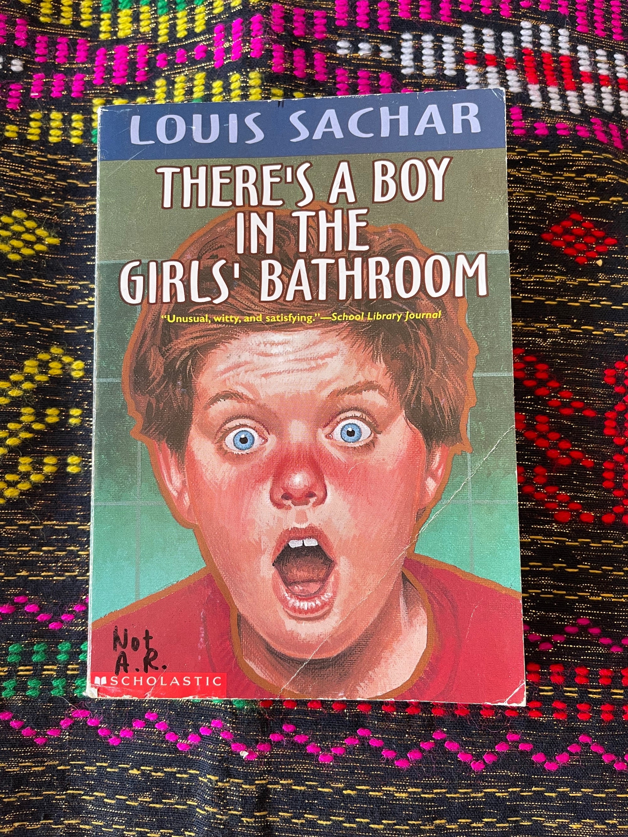 There's A Boy in the Girls' Bathroom [Book]