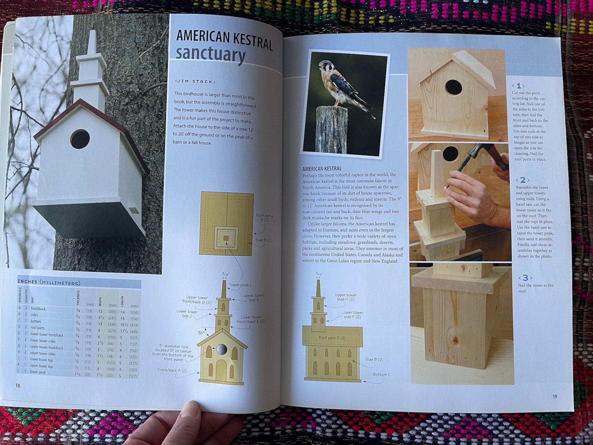 Birdhouses You Can Build in A Day Etsy