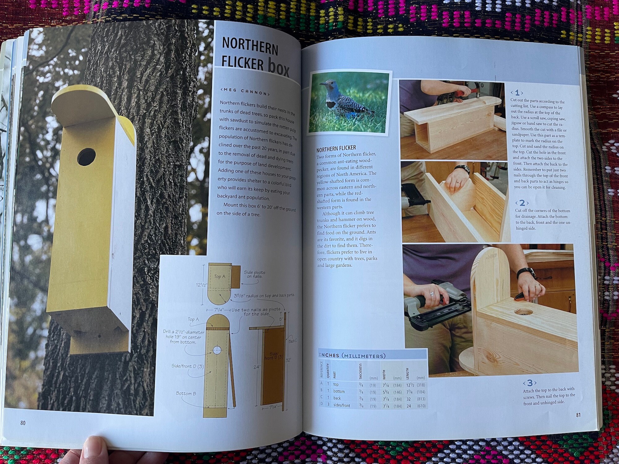 Birdhouses You Can Build in A Day Etsy