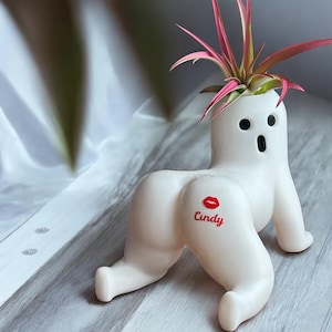 Funny Butt Planter Air Plant Pot Home Office