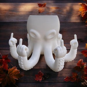 Octopus Middle Finger Plant Pot: Humorous Desk Decor