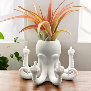 Mini plantador de aire con forma de pulpo en forma de dedo medio: decoración divertida para el escritorio