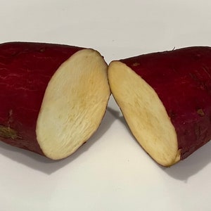 Sweet Potato Rooted Slips Murasaki