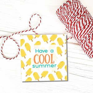 Heb een Cool Summer Popsicle Printable Square Cookie Tag 2 in, Instant download, cookie verpakking, popsicle cookies, Cool Summer tag