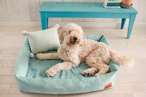 Cuddle bed dog discount