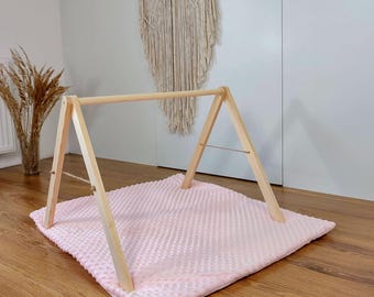 Montessori Baby Gym Ecological Wood, Wood Activity Gym, 3 matt colors, montessori room