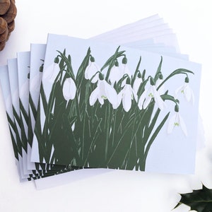 Lot de 5 cartes de Noël perce-neige