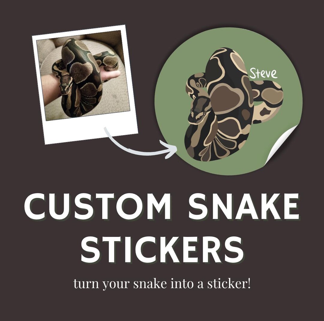 Hand-drawn Custom Snake Sticker, Custom Pet Sticker, Snake Lover ...