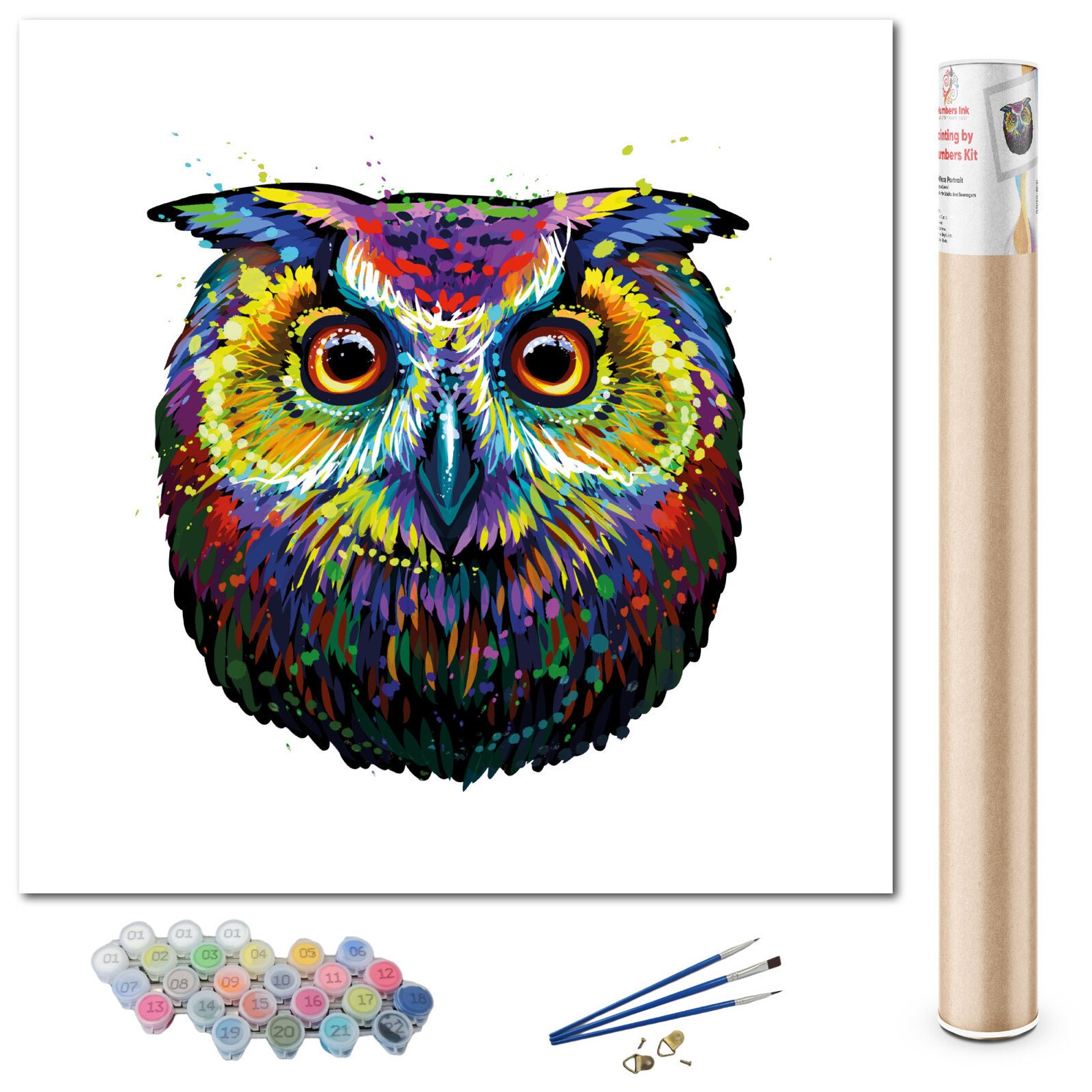 Paint By Numbers Complete Kit In A Tube Owl Face Painting On Etsy