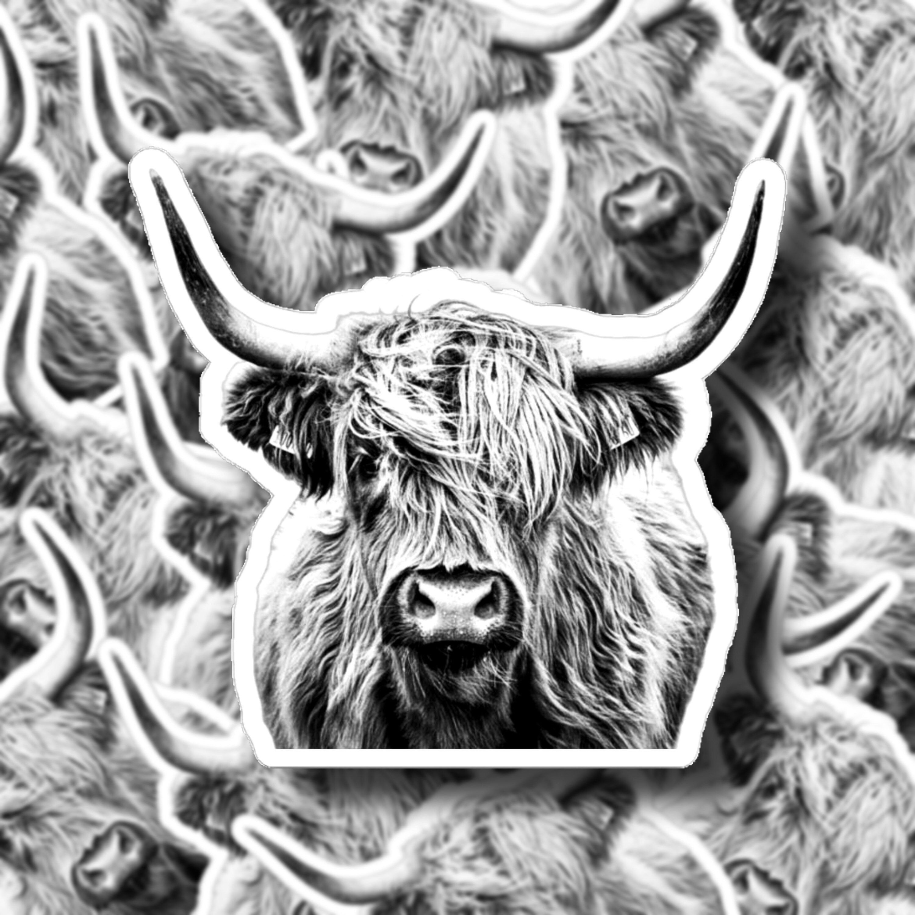 Western Cow Sticker Black And White Cow Long Horn Etsy