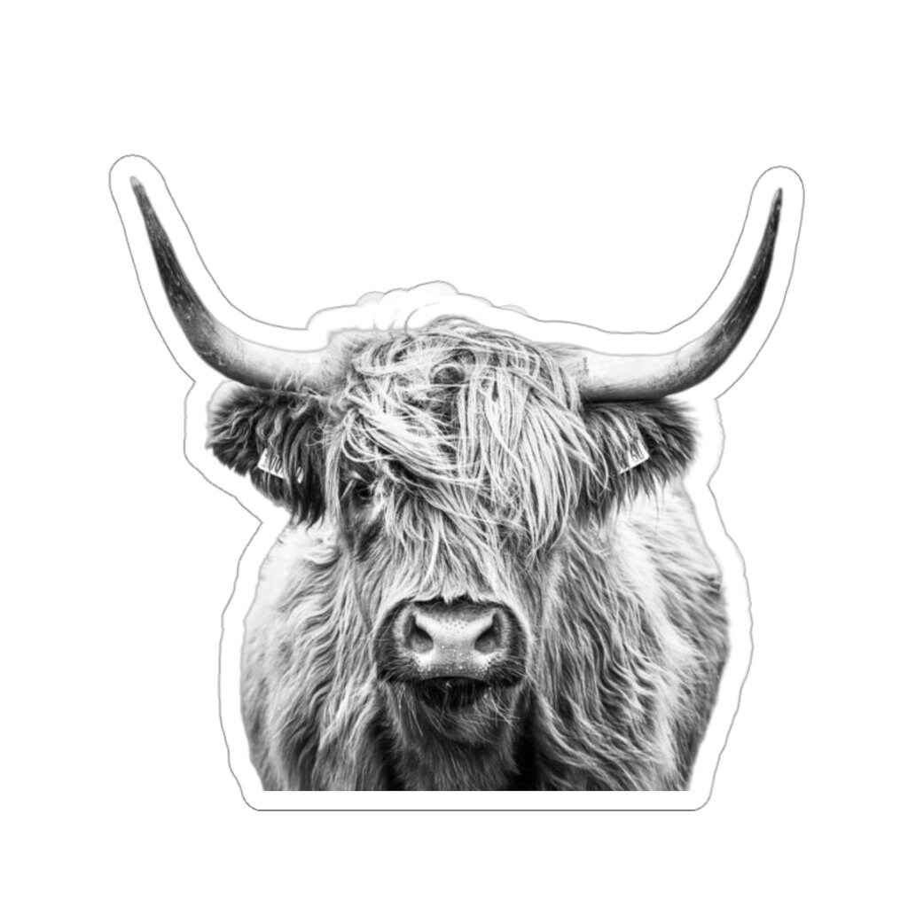 Western Cow Sticker Black And White Cow Long Horn Etsy