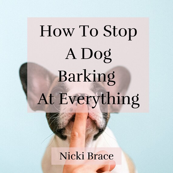 How to Stop A Dog Barking at Everything Etsy
