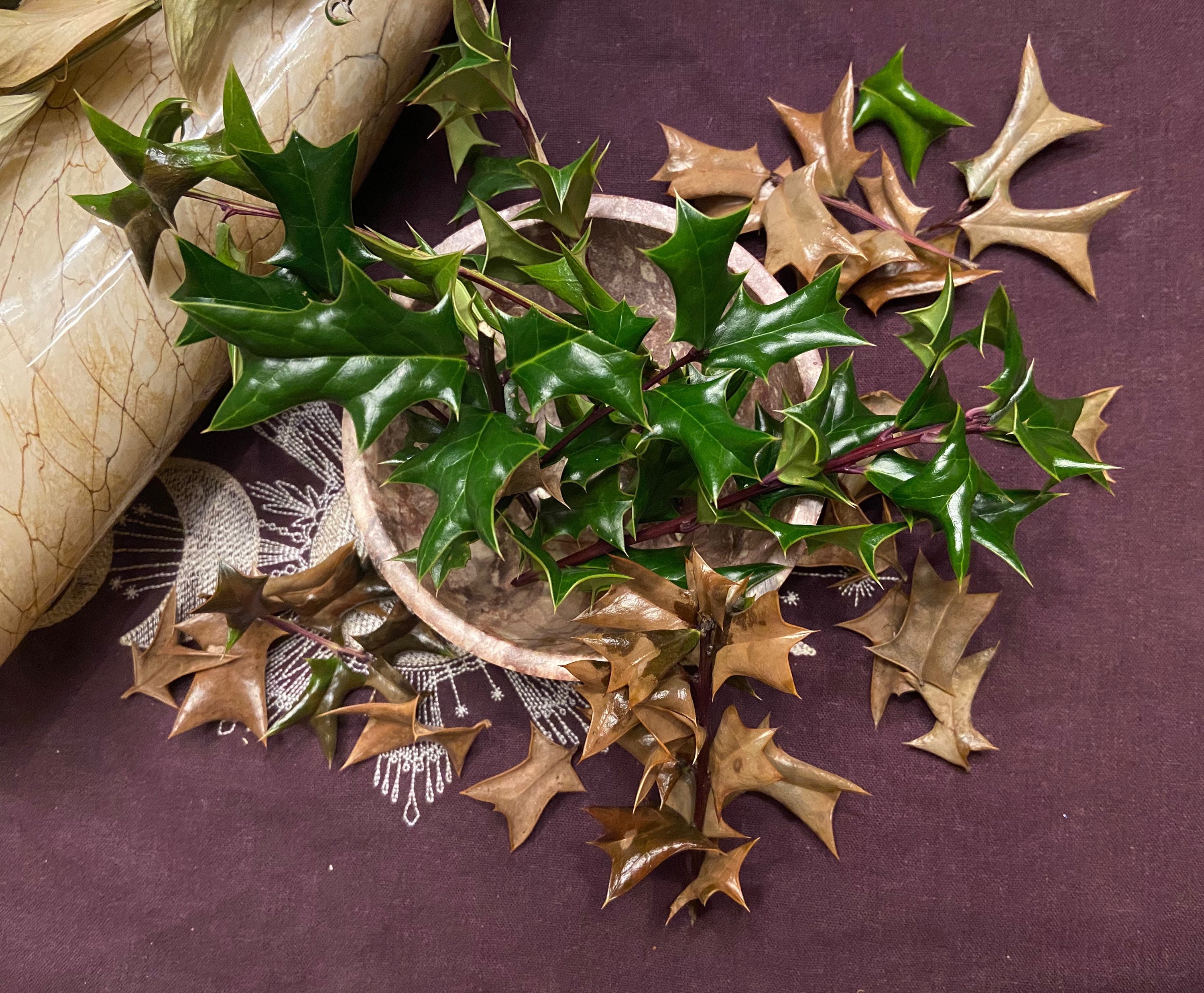 Dried Roses Witchcraft - lbwgdr5
