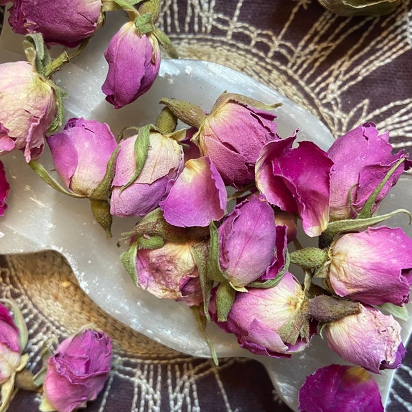 Pink Rose Buds And Petals, Beauty, Goddess Magick, Love, Divination, Witchcraft, Pagan