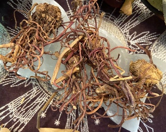 Aster Root, Keep Away Evil Spirits, Clear Stagnation, Ward Off Bad Luck, Love, Wisdom, Pagan, Witchcraft
