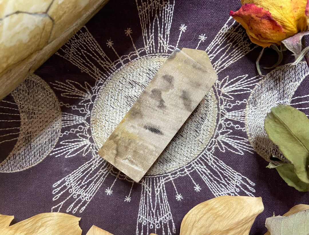 Petrified Wood Point, All Natural - Etsy
