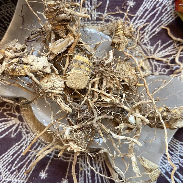 Vetiver Root, Safety, Increase Financial Resources, Love, Hex Breaking, Luck, Pagan, Witchcraft