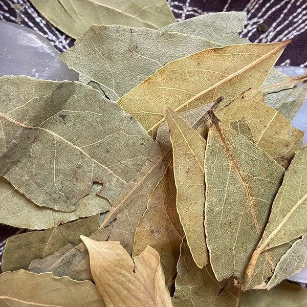 Whole and Pieces Bay Leaf, Divination, Prosperity, Clairvoyance, Protection, Purification, Love, Dispel Negative