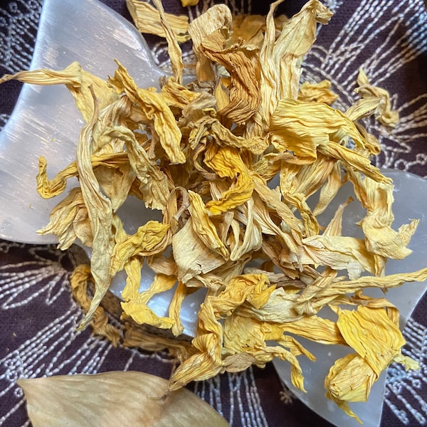 Sunflower Petals, Happiness, Clarity, Success, Self-Confidence, Witchcraft, Pagan