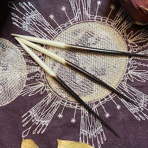 4-5 Inch Porcupine Quills, Ethically Sourced, Crafting, Witchcraft, Divination