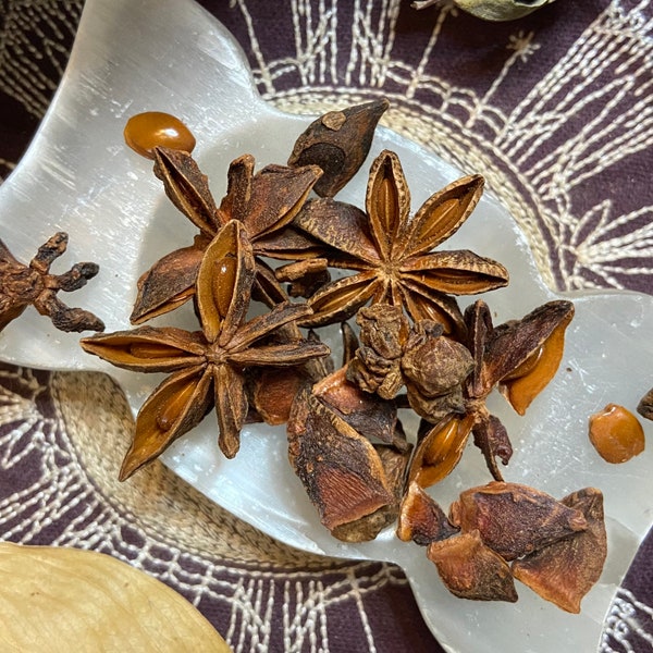 Star Anise Whole and Pieces, Psychic Powers, Luck, Ward Off Bad Dreams, Pagan, Witchcraft